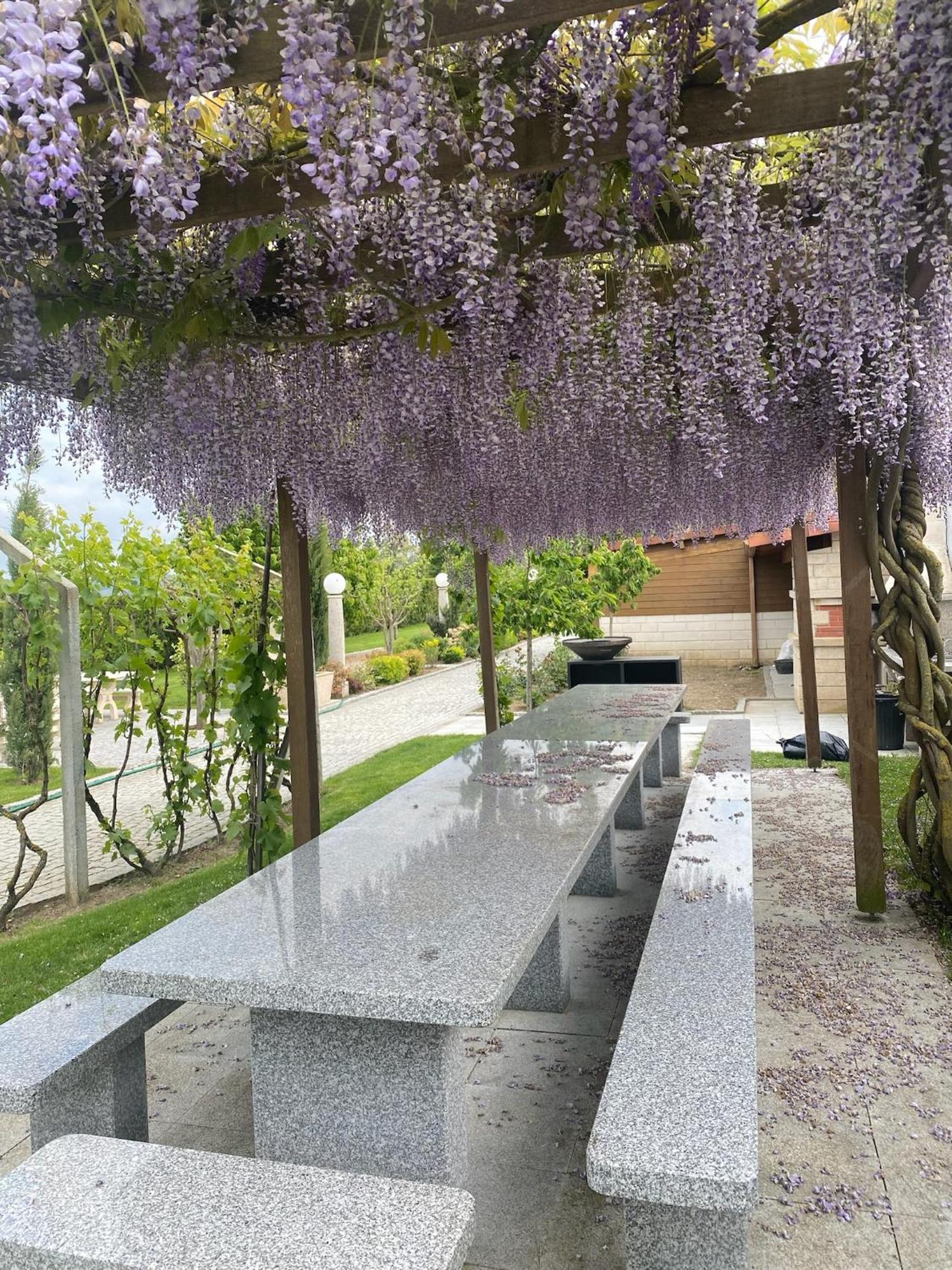 Gites Des Sablons Châtillon-sur-Marne Eksteriør billede